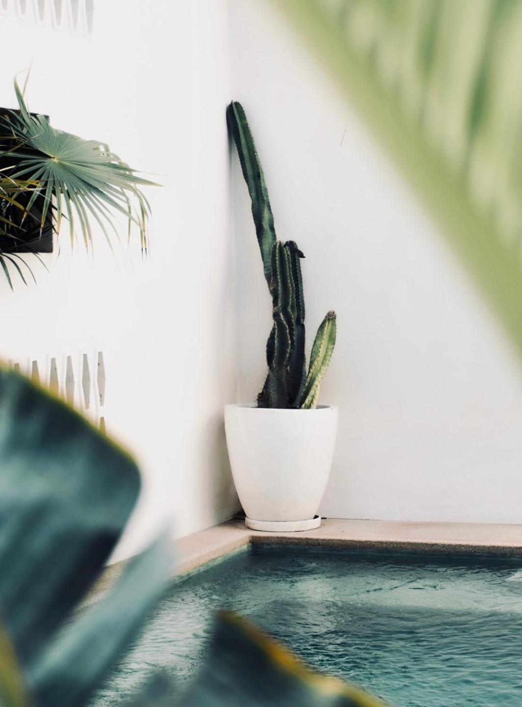 Residencia Tropical Don Bonito Ξενοδοχείο Sayulita Εξωτερικό φωτογραφία